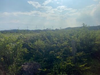 Quinta en Guanacaste in Mogote, Bagaces, Guanacaste — 40 000 000 ₡ - Photo 4 of 5