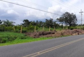 OFERTA DE OPORTUNIDAD! Espectacular Finca de 20,000 M² en Bagaces, Guanacaste — 25 000 000 ₡ - Foto 4 de 7