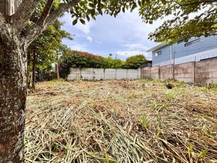 SE VENDE LOTE EN POÁS DE ALAJUELA en Carrillos, Poás, Alajuela — $81,900 - Foto 4 de 10