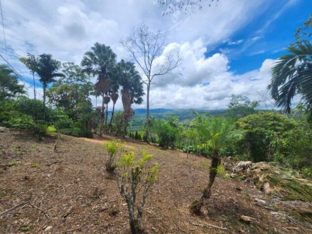 Lote con vista y servicios La Bonita, Rivas, Perez Zeledon in Rivas, Pérez Zeledón, San José — $125,000