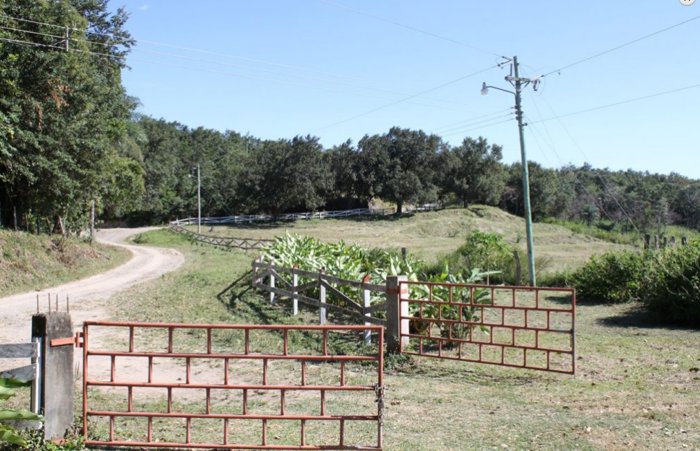 Finca de 110 Ha, electricidad y riego en Bagaces in Bagaces, Guanacaste — $600,000