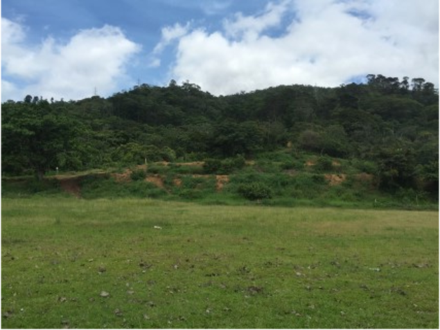 VENTA TERRENO DE DESARROLLO, SAN JOSE, PATARRA en Patarrá, Desamparados, San José — $4,100,000 - Foto 3 de 6