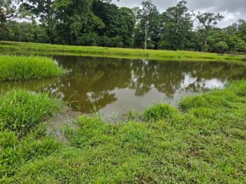 🌿 Finca de 42 hectáreas en Pococí – Naturaleza y potencial turístico en un solo lugar en Rita, Pococí, Limón — 250 000 000 ₡ - Foto 4 de 9