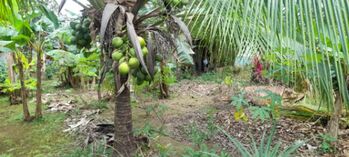 Oficina en Venta La Fortuna, San Carlos, Alajuela