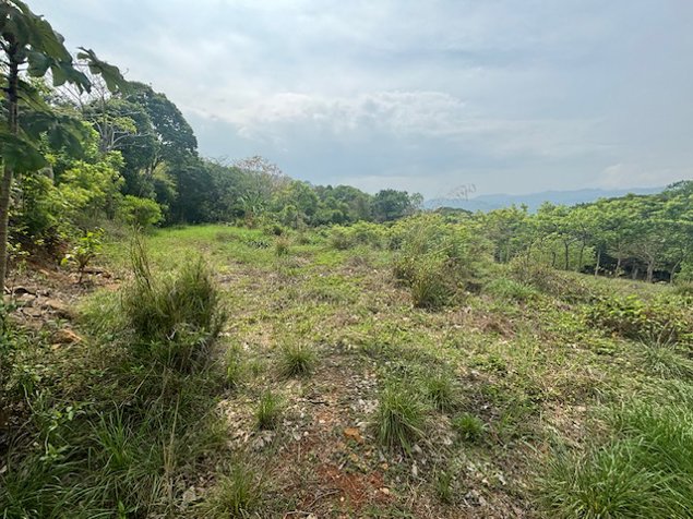 Lote a menos de 5 minutos de la 27 en el campo de Atenas in Atenas, Alajuela — $70,000