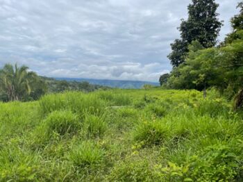 Finca La Puna en Biolley, Buenos Aires, Puntarenas — $200 - Foto 4 de 10