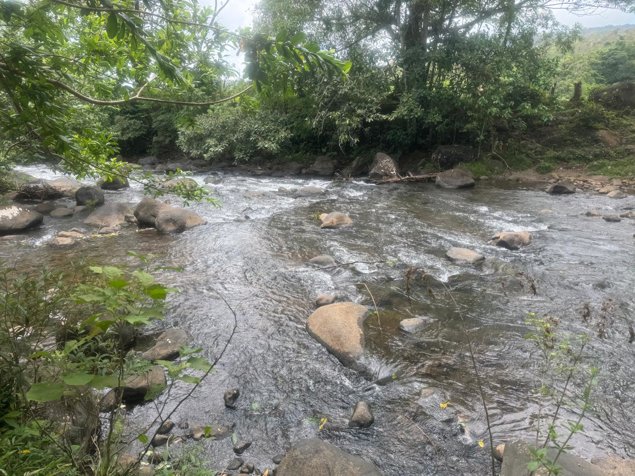 Finca en venta en Aguas Claras in Aguas Claras, Upala, Alajuela — $280,000