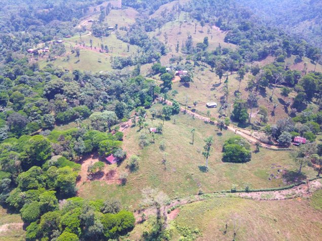 SE VENDE FINCA EN AGUAS MANZAS, GUAPILES in Guápiles, Pococí, Limón — ₡ 76 800 000