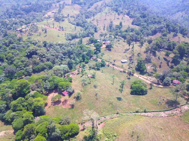 SE VENDE FINCA EN AGUAS MANZAS, GUAPILES en Guápiles, Pococí, Limón — ₡ 76 800 000