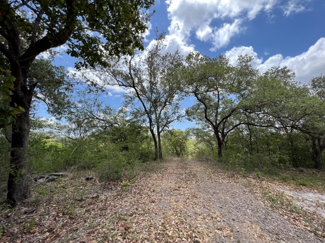 Finca La Ponderosa, Bagaces in Bagaces, Guanacaste — $4,100,000 - Photo 2 of 3
