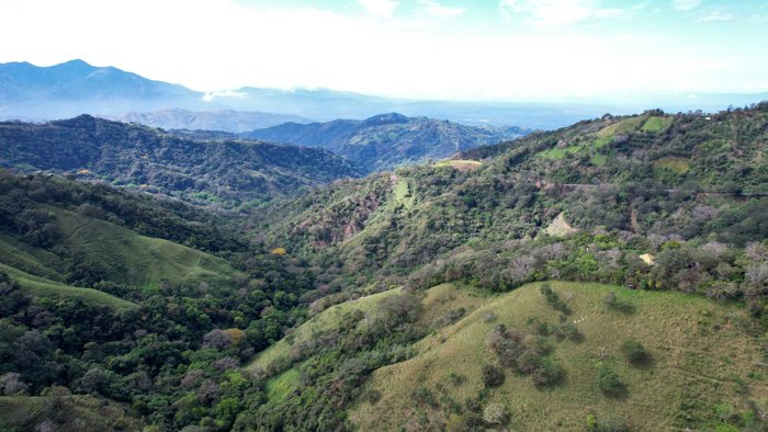 Agricultural Land for Sale in Atenas with Stunning Mountain Views in Mercedes, Atenas, Alajuela — ₡ 77 500 000 - Photo 3 of 19
