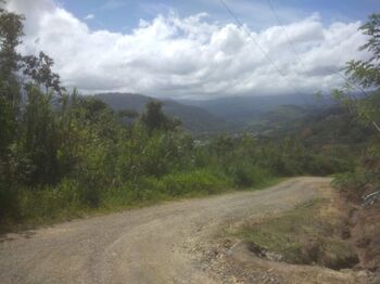 Ideal para un proyecto de conservación o turismo  in Pejibaye, Jiménez, Cartago — 25 000 000 ₡ - Photo 5 of 13