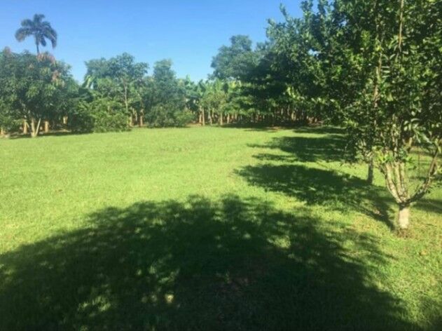 Vendo terreno en Los Angeles de La Fortuna de San Carlos en La Fortuna, San Carlos, Alajuela — ₡ 32 000 000