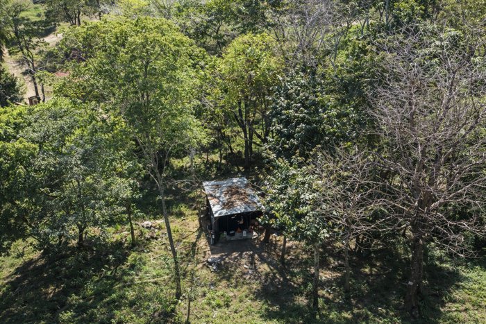 Lotes en Venta en Santa Teresa con Permiso de Construcción in Cóbano, Puntarenas — $240,000