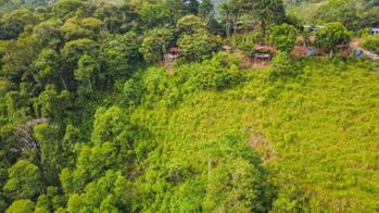 Paraiso con 4 cataratas. en La Amistad, Pérez Zeledón, San José — $250,000 - Foto 4 de 7