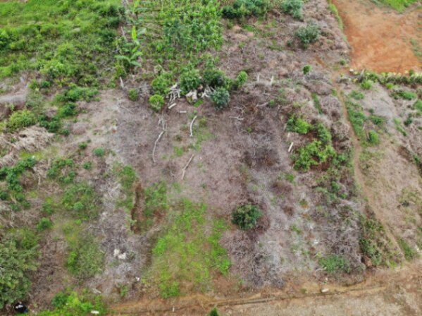 Lote en Carrizal León Cortés, Zona de Los Santos in San Pablo, León Cortés Castro, San José — ₡ 14 000 000
