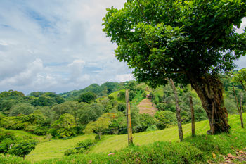 VENTA DE FINCA, CARTAGO, CARTAGO, LLANO GRANDE en Llano Grande, Cartago — 225 000 000 ₡ - Foto 5 de 9