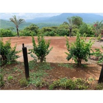 Lote en Venta Orotina, Orotina, Alajuela