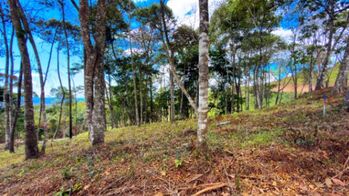 SE VENDE HERMOSO LOTE RESIDENCIAL EN LA MONTAÑA CON VISTAS ESPECTACULARES EN QUEBRADAS in San Isidro De El General, Pérez Zeledón, San José — $36,000 - Photo 4 of 6