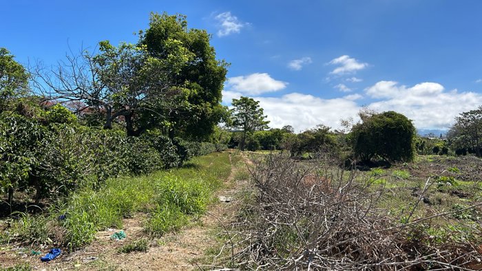 VENTA TERRENO DE DESARROLLO, HEREDIA, SANTO DOMINGO en San Vicente, Santo Domingo, Heredia — $3,784,000