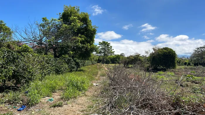 VENTA TERRENO DE DESARROLLO, HEREDIA, SANTO DOMINGO in San Vicente, Santo Domingo, Heredia — $3,784,000