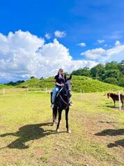 Se vende finca de 252 ha en Turrialba in Turrialba, Cartago — 2 268 000 000 ₡ - Photo 5 of 29