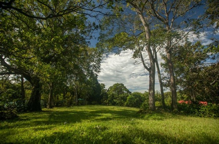 SE VENDE FINCA, ALAJUELA, ATENAS, ESCOBAL, USO MIXTO, CASA, NEGOCIABLE in Escobal, Atenas, Alajuela — $499,000 - Photo 2 of 30