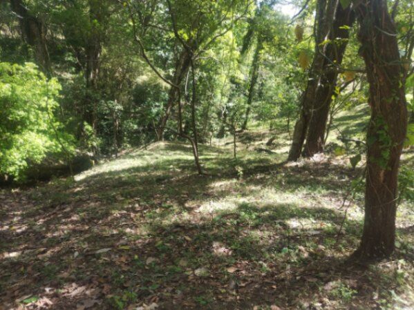 DE OPORTUNIDAD ESPECTACULAR FINCA EN ATENAS, ALAJUELA.  en Atenas, Alajuela — ₡ 45 000 000