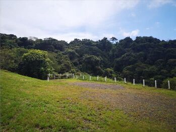 Finca en Venta Guadalupe, Zarcero, Alajuela