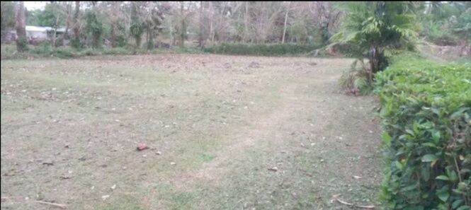 OFERTA - LOTE SAN ISIDRO DE PEÑAS BLANCAS en Peñas Blancas, San Ramón, Alajuela — ₡ 9 500 000