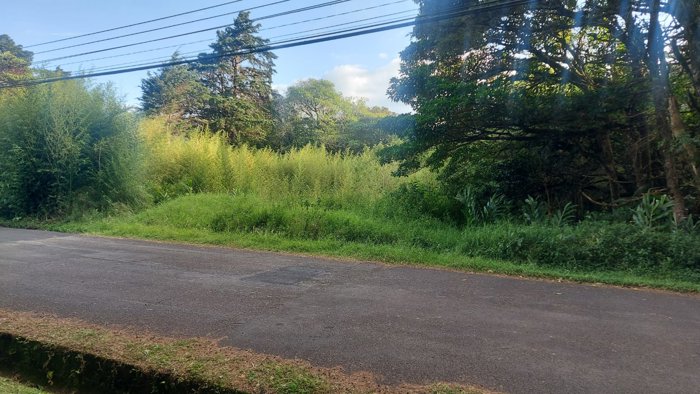 Lote en venta en San Rafael de Heredia, lote # 138 en Residencial en Ángeles, San Rafael, Heredia — $320,000 - Foto 3 de 10