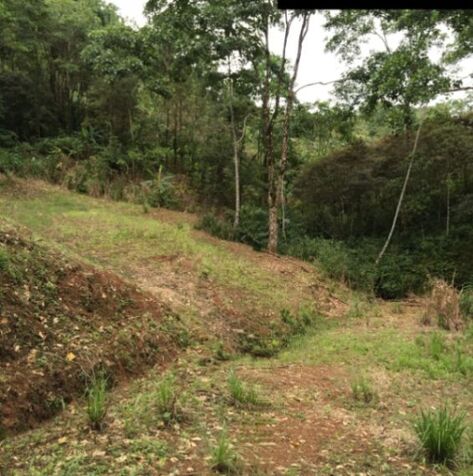 TERRENOS EN PARCELAS  en Pavones, Turrialba, Cartago — ₡ 14 500 000