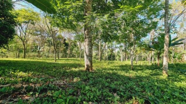 Beautiful land (26+ acres) for sale in the heart of Quizarra in Cajón, Pérez Zeledón, San José — $399,000