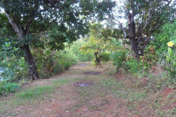 Venta de Lote en Hojancha-Puerto Carrillo, Guanacaste. RAH 26-996 PRECIO REBAJADO en Puerto Carrillo, Hojancha, Guanacaste — ₡ 52 000 000