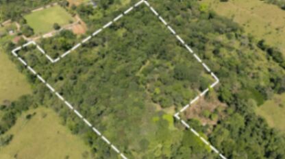 HERMOSA FINCA DE 10+ HECTÁREAS EN QUIZARRÁ, EXCELENTE UBICACIÓN in San Isidro De El General, Pérez Zeledón, San José — $399,999