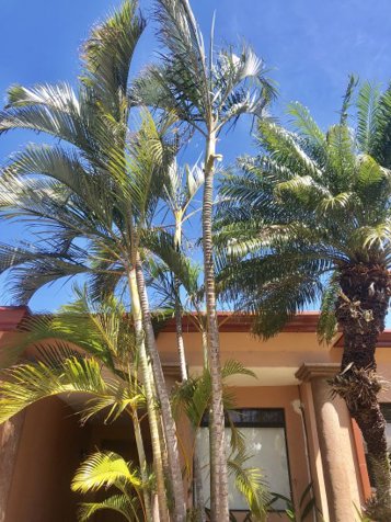 VENTA / Preciosa Casa en Lindora, Santa Ana, San José in Pozos, Santa Ana, San José — $690,000 - Photo 2 of 36