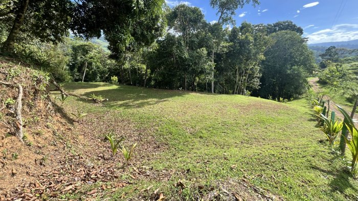 SE VENDE TERRENO CON CATARATA PRIVADA, BOSQUE Y VISTAS A LA MONTAÑA EN TIERRAS MORENAS DE SAVEGRE in Savegre, Quepos, Puntarenas — $97,000 - Photo 2 of 18