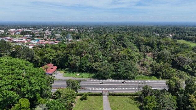 VENTA DE FINCA ALTA DENSIDAD Y COMERCIAL, LIMÓN, GUÁPILES - 9583360 en Guápiles, Pococí, Limón — $574,600