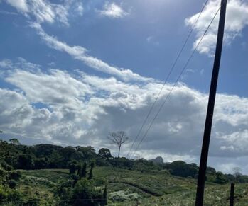 Venta de Lote + 3 Casas en Sarapiquí, Heredia. RAH 26-173 in Cureña, Sarapiquí, Heredia — $550,000 - Photo 5 of 18