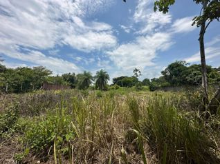 Lotes de 1113 m2  a 50 metros de la carretera en Coyolar de Orotina en Coyolar, Orotina, Alajuela — $38,000,000 - Foto 5 de 14
