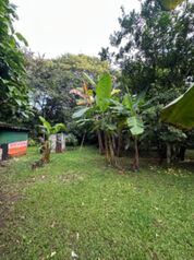 Venta de propiedad en Nosara  in Nosara, Nicoya, Guanacaste — 250 000 000 ₡ - Photo 5 of 8
