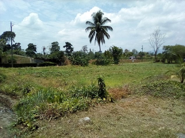 Venta de terreno 1000m2 en La Fortuna, San Carlos, Alajuela — ₡ 35 000 000 - Foto 3 de 4