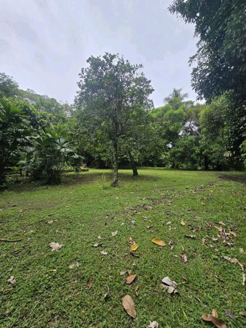 LOTE EN HOME CREEK, LIMON. en Cahuita, Talamanca, Limón — $128,000 - Foto 2 de 8