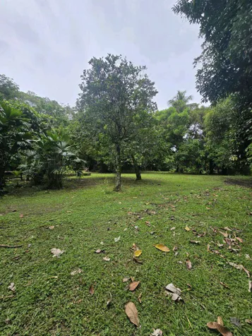 LOT IN HOME CREEK, LIMON. in Cahuita, Talamanca, Limón — $128,000 - Photo 2 of 8