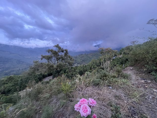 Finca en Venta en Copey de Dota 12.9 hectareas en Santa María, Dota, San José — $2,000,000 - Foto 2 de 11