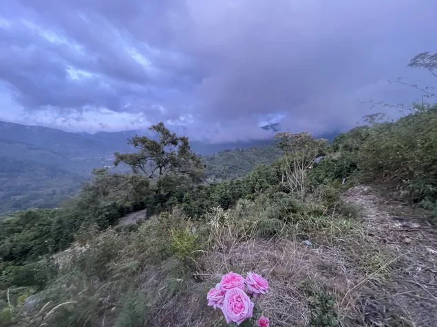 Finca for Sale in Copey de Dota, 12.9 hectares in Santa María, Dota, San José — $2,000,000 - Photo 2 of 11