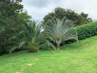 Oportunidad en Senderos del Río, Grecia | Lote de 1.449 m² a precio especial - Foto 3 de 3