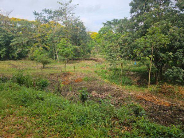 SE VENDE BELLÍSIMA FINCA EN BIJAGUAL.  en Carara, Turrubares, San José — ₡ 204 000 000