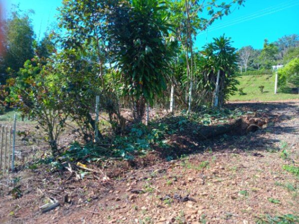Las brisas in Cajón, Pérez Zeledón, San José — ₡ 13 000 000