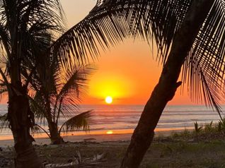 VENTA DE LA MEJOR PROPIEDAD DE COROZALITO - OPORTUNIDAD en Bejuco, Nandayure, Guanacaste — $2,400,000 - Foto 5 de 29